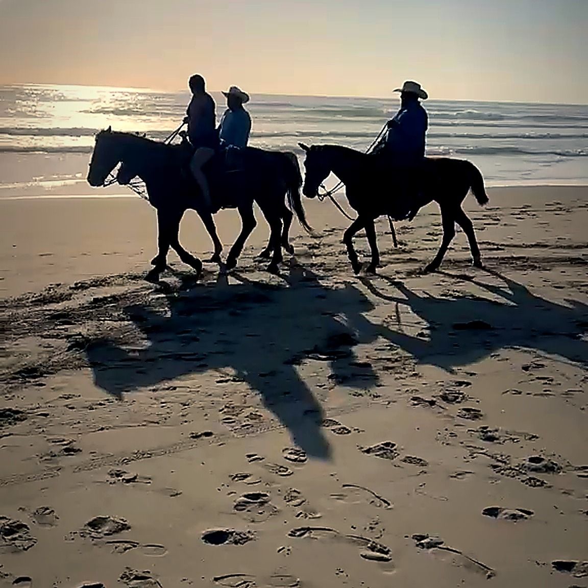 Horseback riding on the beach